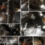 mengapa orang-orang hilang dari sebuah cerita