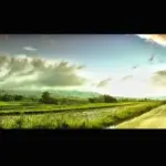 pastoral rorotan ilustrasi kaka ited